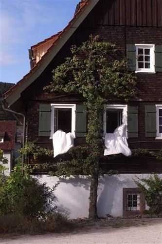 Gutshof-Hotel Waldknechtshof Baiersbronn Esterno foto